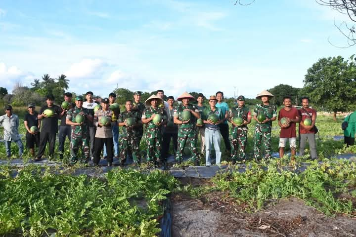 Korem 033/WP berhasil melaksanakan Panen Raya ke 2 di Teluk Bakau Bintan