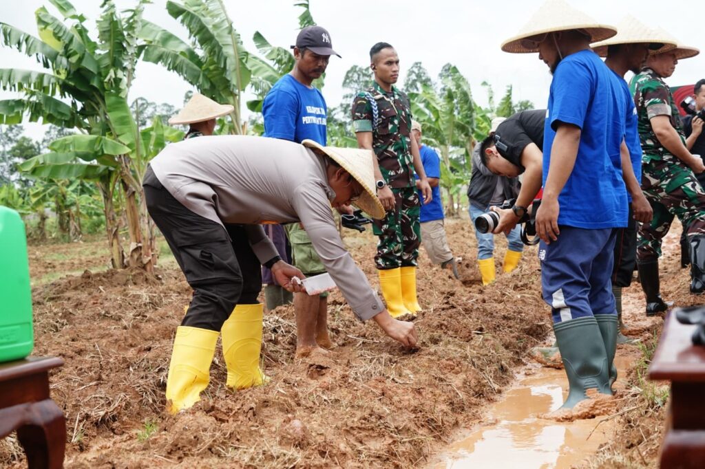 Dukung Swasembada Pangan 2025, Polda Metro Jaya Tanam Jagung Di 16,5 Hektar Lahan Bekasi