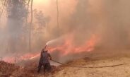 Bareskrim Polri Jerat 9 Korporasi dalam Kasus Karhutla, Pelaku Terancam Hukuman 12 Tahun Penjara